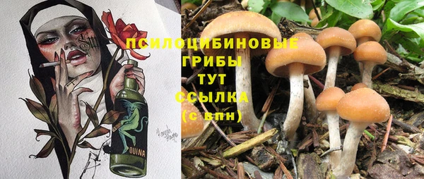 MESCALINE Аркадак