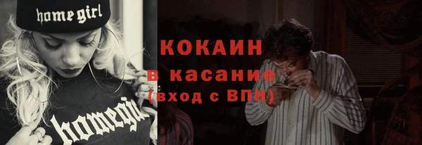 гидра Арсеньев