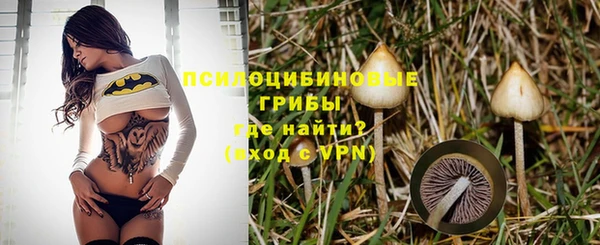 гидра Арсеньев