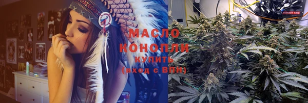 гидра Арсеньев