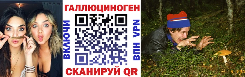 купить закладку  Райчихинск  Псилоцибиновые грибы GOLDEN TEACHER 